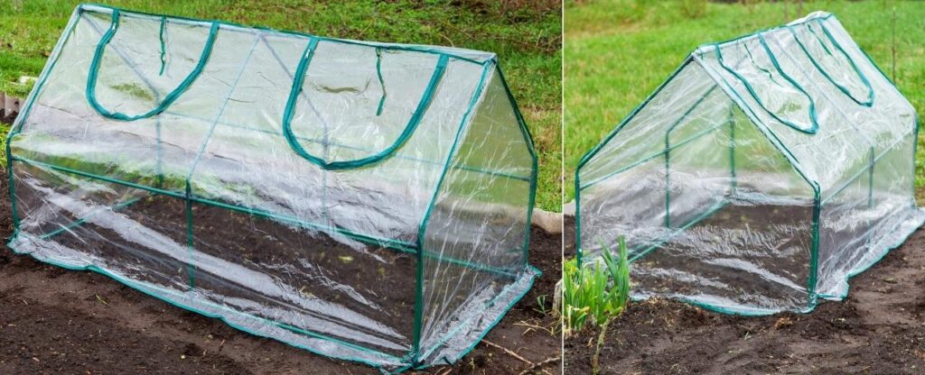 COLLAPSIBLE SMALL GREENHOUSE
