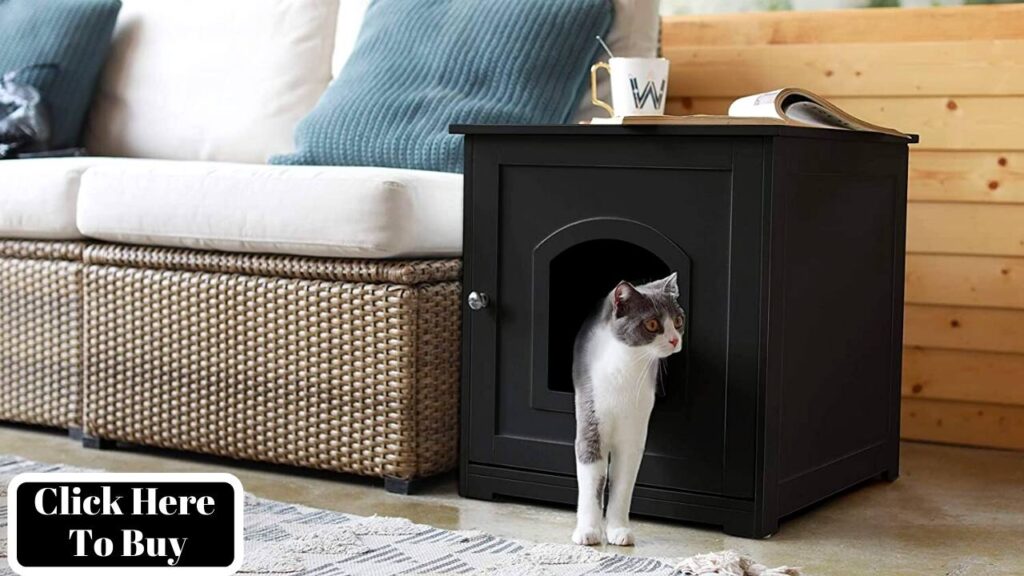 A Cat Litter Box Inside Your Tiny Bedroom  Table.