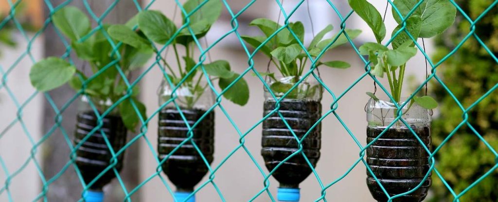 Create A Plastic Bottle Vertical Garden By Hanging Bottles On The Net. There is another amazing idea for limited space: you can create a plastic bottle vertical garden by hanging bottles on the net.