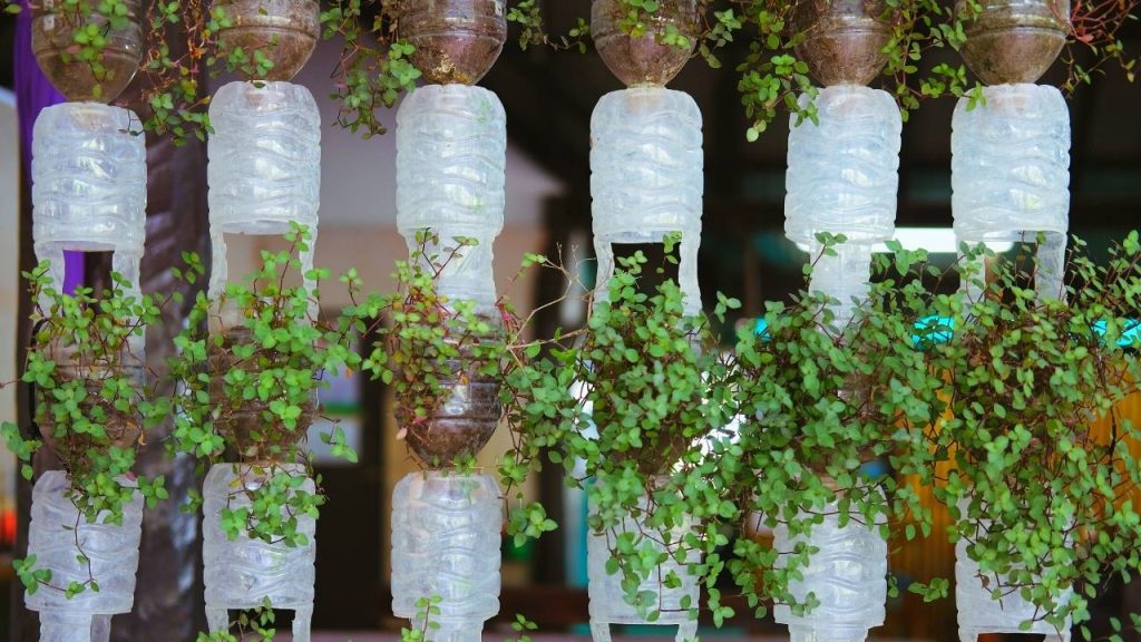 Self Watering Plastic Bottles Vertical Herb Garden. If you want to grow your favorite herbs in a limited space then in this article we will share the best solution for this problem.