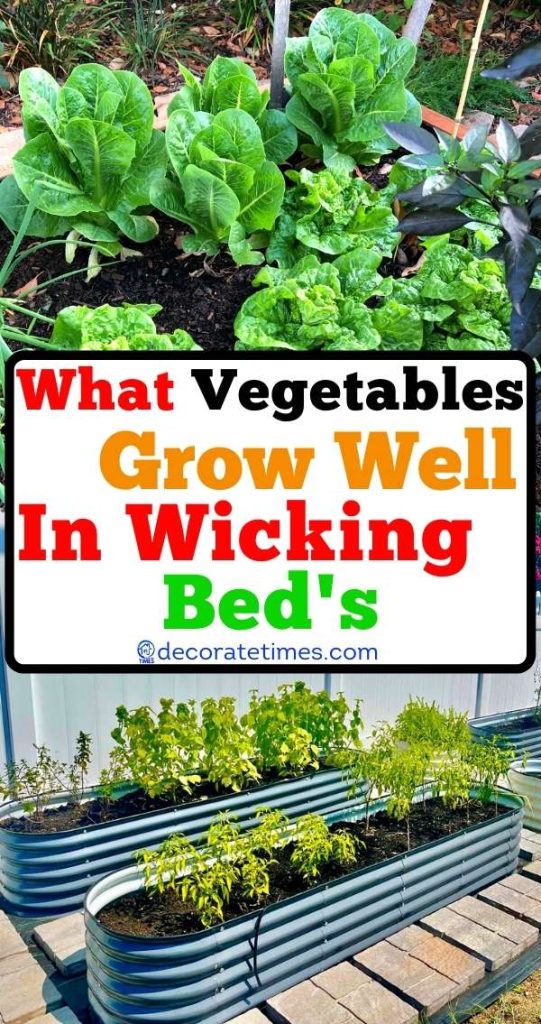 10 Vegetables Grow Well In The Wicking Beds.