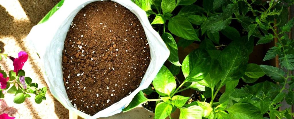 Advantages Of Potting Soil
