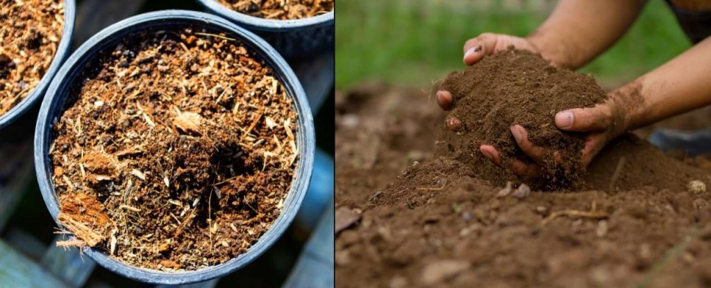 The Ultimate Guide For Making Organic Potting Soil More Fertile For Indoor Vegetable Garden.