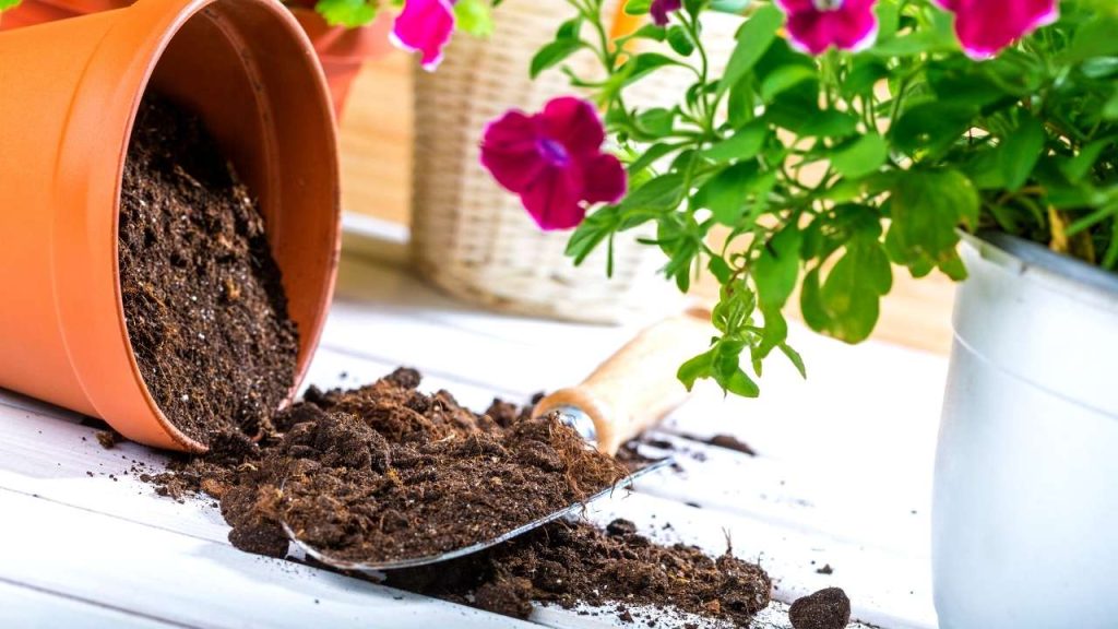 Potting Soil Recipe For Flowers, Tropicals And Vegetables:
