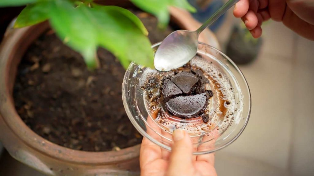 Garden Coffee. Coffee grounds are very useful for your garden as they come with a lot of nutrients that are essential for your seedling growth. Coffee grounds are very helpful for acidifying your soil or to thrive acid-loving plants or seedlings.
