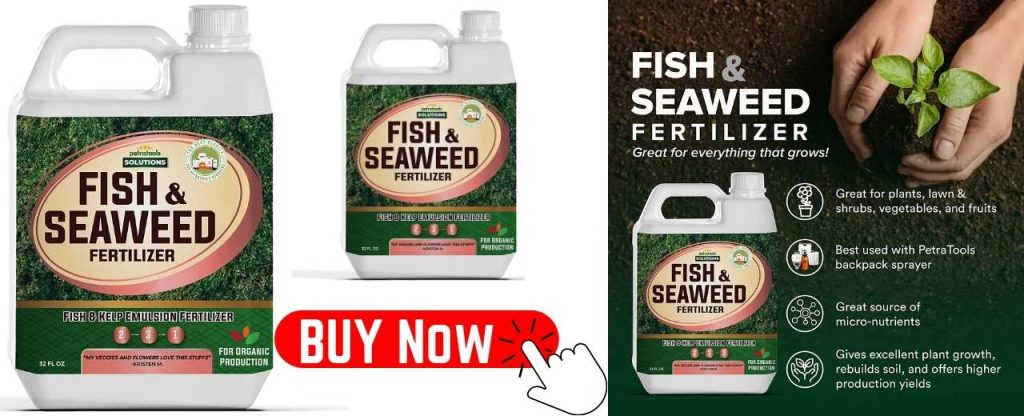 Age-old fish and seaweed liquid fertilizer is a combination of fish and seaweed