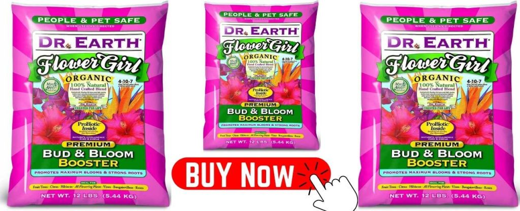 Bud And Bloom Booster